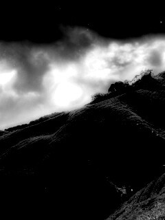 Чайные поля обои