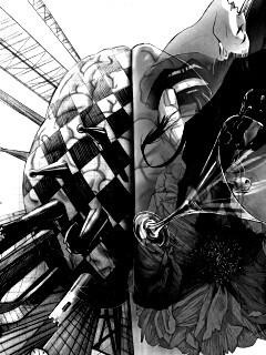 Левая и правая часть мозга обои