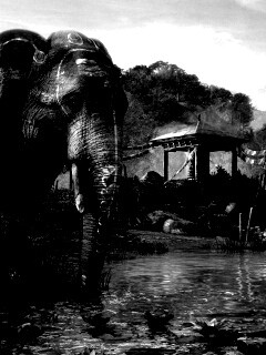 Слоники у воды обои