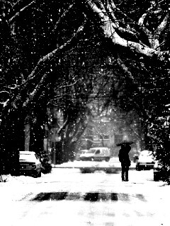 Зимняя улица обои