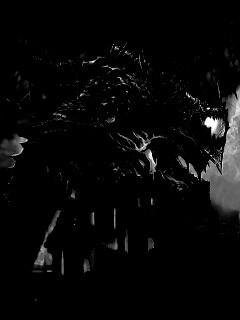 Огромный дракон обои