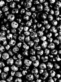 Черника обои