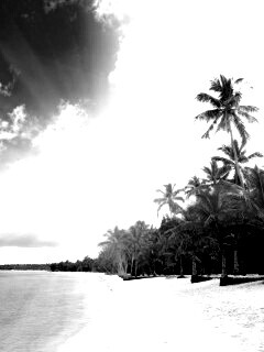 Тропическое побережье обои