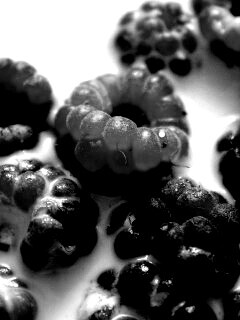 Малина в молоке обои