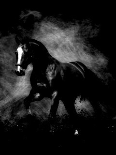 Лошадь обои
