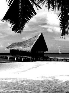 Бунгало обои