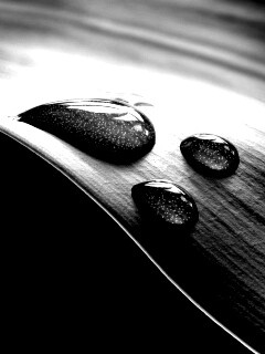 Капли на зеленом листе обои