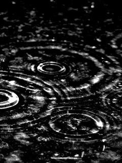 Круги на воде обои