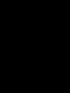 Векторные зеленые листья обои