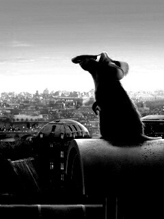 Рататуй на фоне Парижа обои