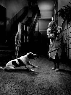 Непослушная собака обои