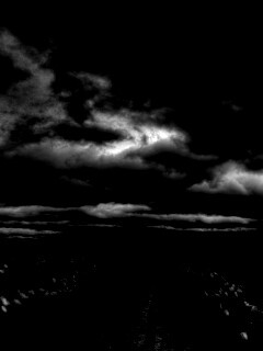 Цветочное поле под грозовым небом обои