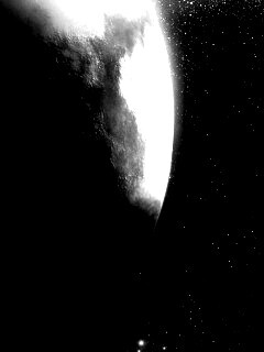 В темном свете обои