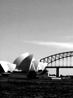 Панорама порта Сиднея обои