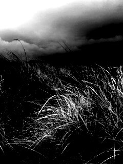 В ожидании шторма обои