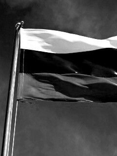 Флаг России на флагштоке обои