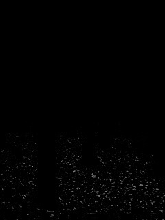 Таинственный лес обои