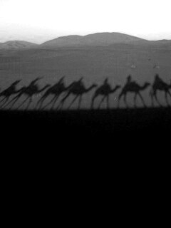 Караван обои