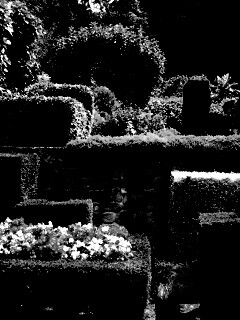 Декоративный сад обои