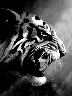 Картина с тигром обои