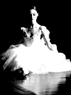 Черный лебедь обои