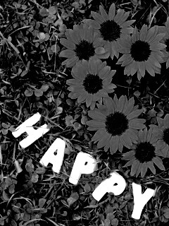 Радость обои