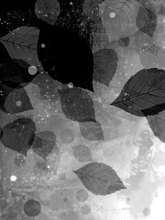 Прозрачные листья обои