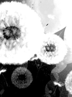 Одуванчики обои