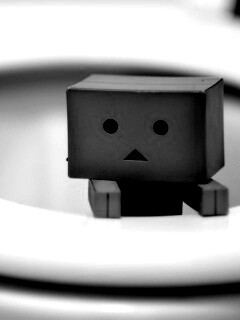 Danbo в унитазе обои