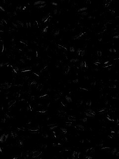 Зерна кофе обои