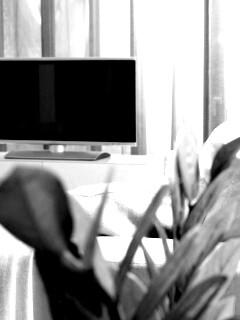 Белая комната обои