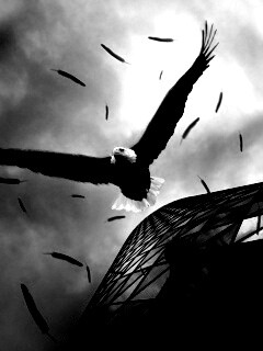 Орлиный полет обои