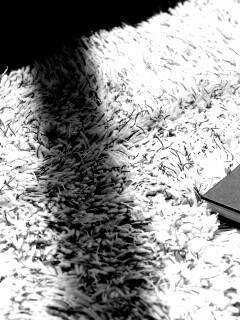 Книга на полу обои