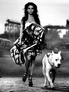 Девушка с питбулем обои