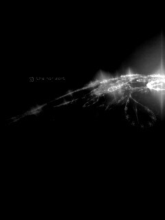 Горизонт обои