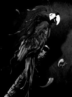 Попугай на ветке обои