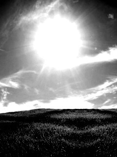 Солнце над холмом обои