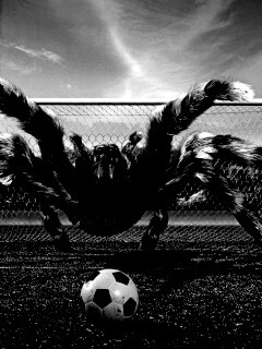 Вратарь обои