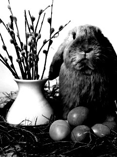Пасхальный кролик обои