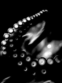 Щупальце обои