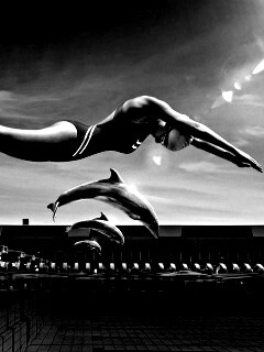 Соревнование обои