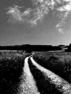 Дорога через луг обои