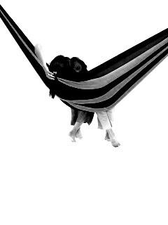 Гамак beeline обои