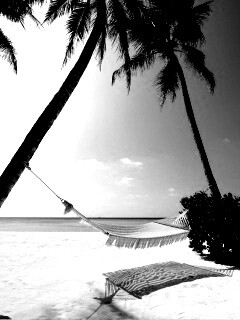 Тропический рай обои