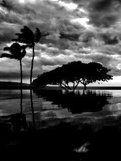 Восход над озером обои