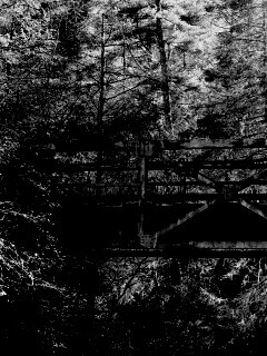 Металлический мост в лесной глуши обои