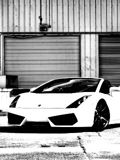 Белый спорткар Ламборгини Галлардо обои