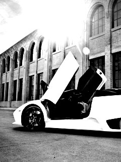 Белая Ламборгини Мурсьелаго обои