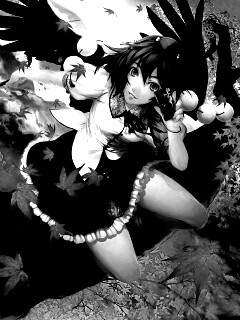 Девушка с фотоаппаратом обои