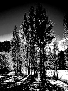 Осень в Новой Зеландии обои